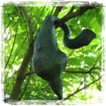 Brutstätte - was wächst denn da? Kelbassa's Panoptikum - Biomorphe - Brutstätte