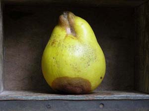 8 Quitten und 1 Apfel - ein wilder Quitten-Breakdance des Vergehens